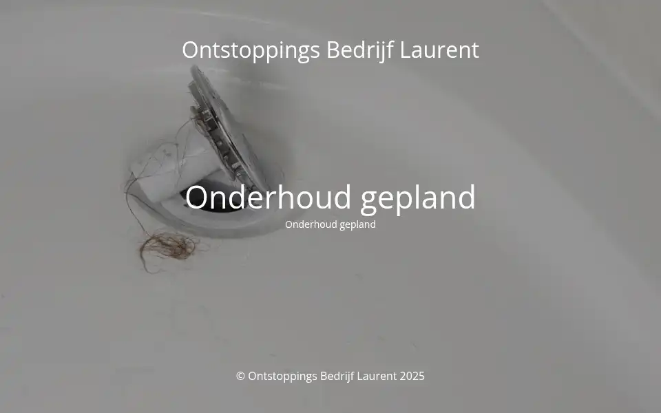 Screenshot of ontstoppingsbedrijflaurent.be