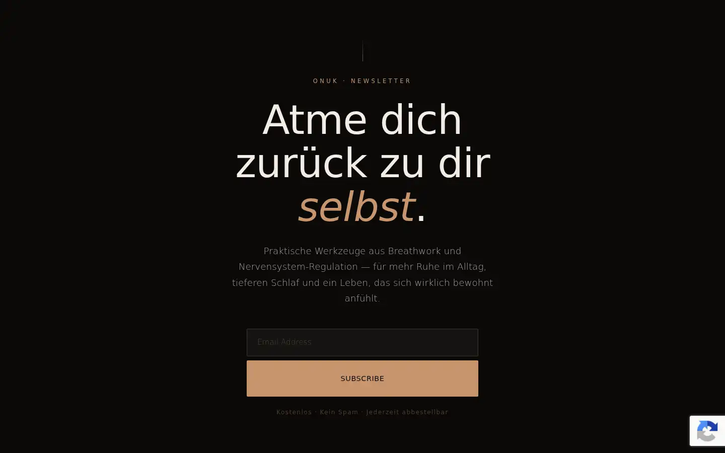 Screenshot of onuk.io