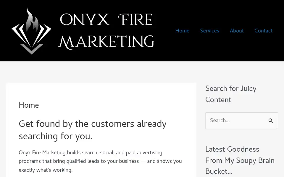 Screenshot of onyxfiremarketing.com