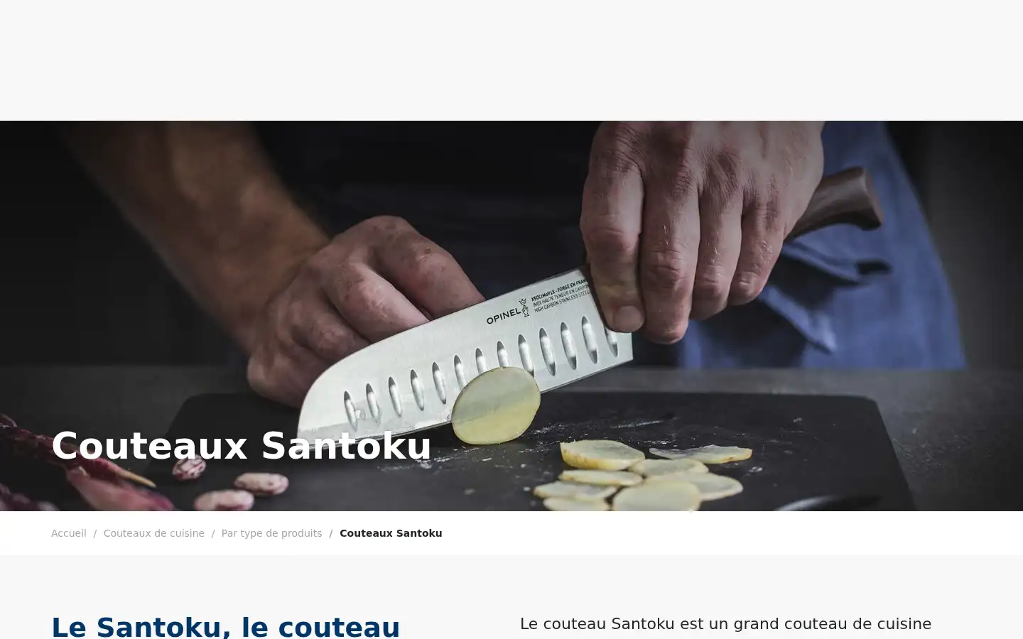 Screenshot of opinel.com