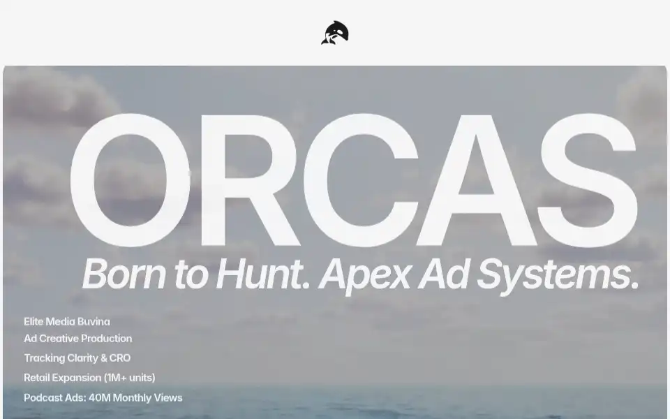 Screenshot of orcasmarketing.com