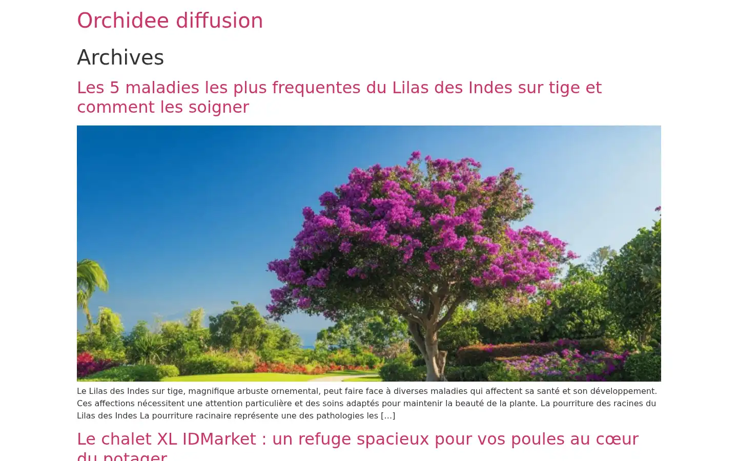 Screenshot of orchidee-diffusion.com