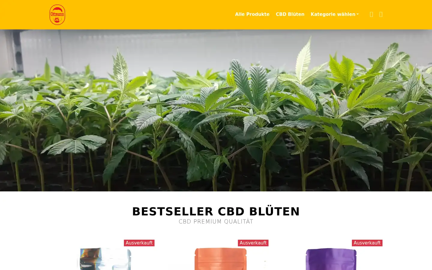 Screenshot of ottmanns.de
