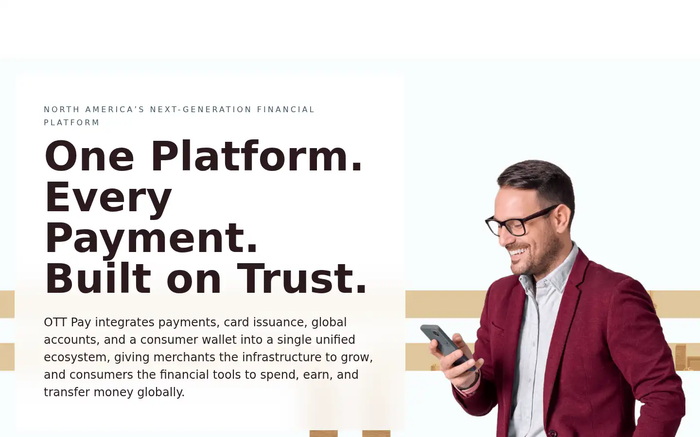 Screenshot of ottpay.com