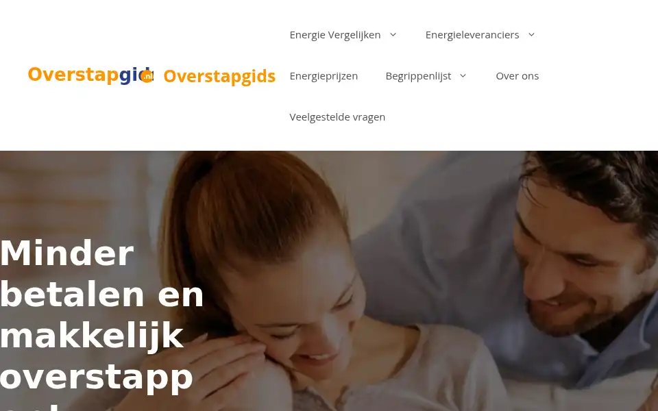 Screenshot of overstapgids.nl