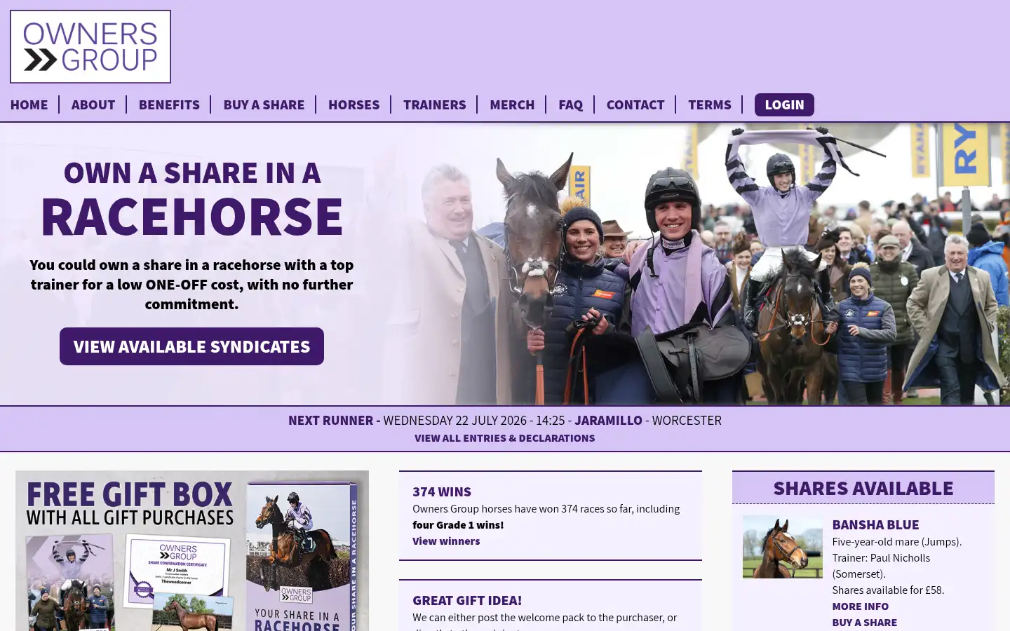 Screenshot of ownersgroup.co.uk