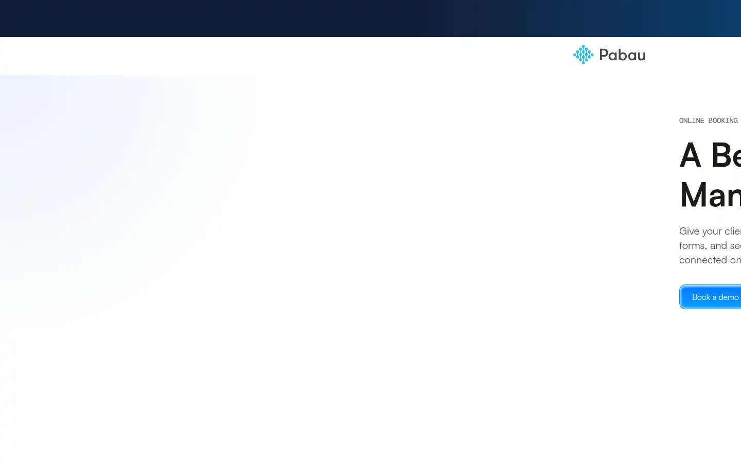 Screenshot of pabau.com