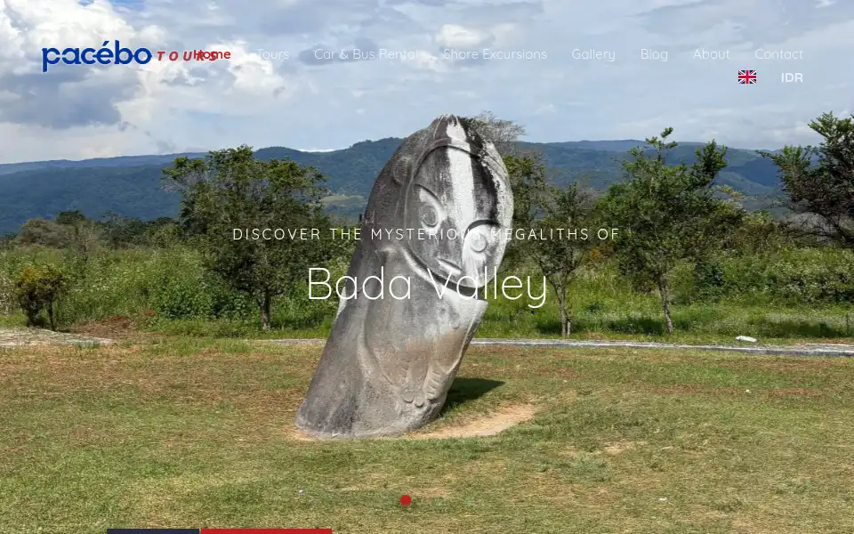 Screenshot of pacebotours.com
