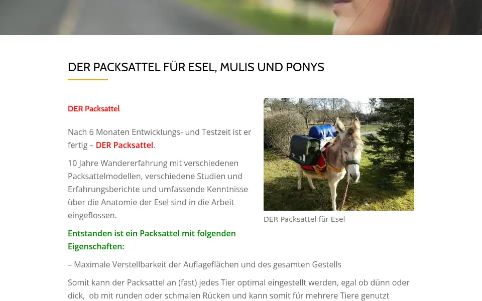 Screenshot of packsattel.info