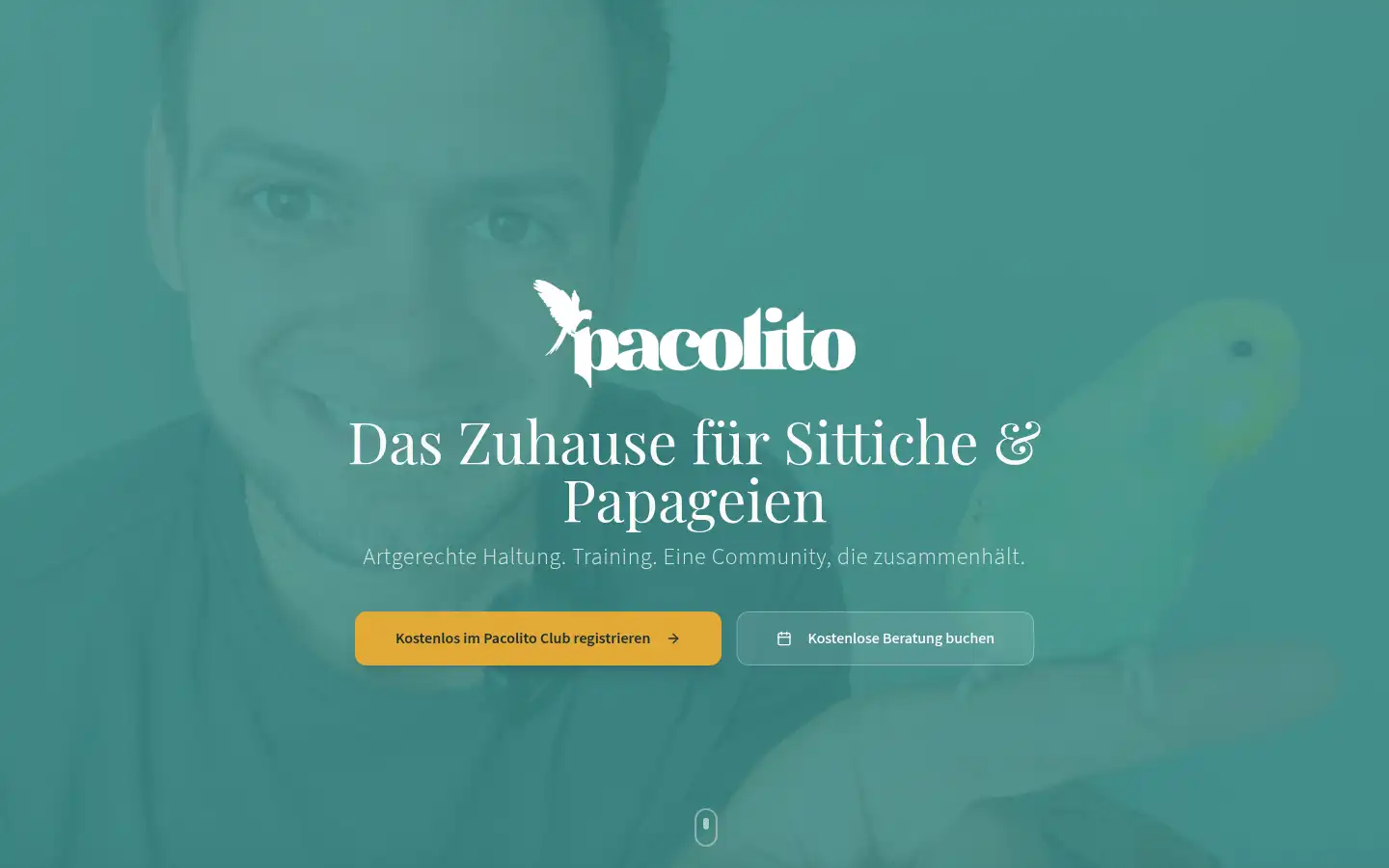 Screenshot of pacolito.de