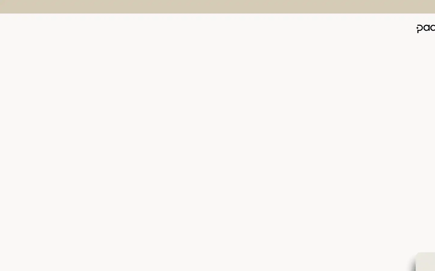 Screenshot of paddle.com