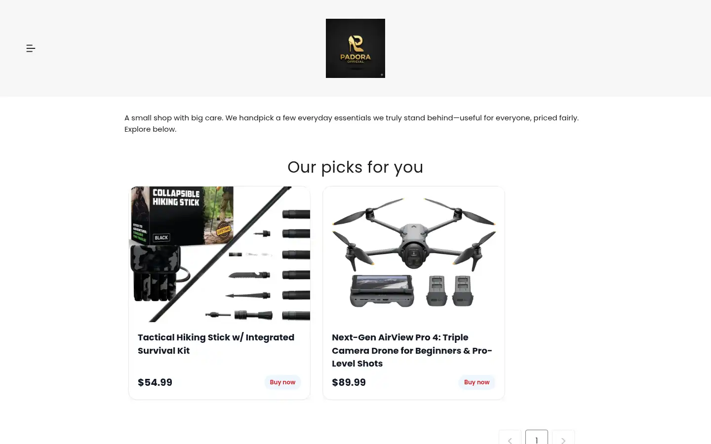 Screenshot of padoraofficial.com