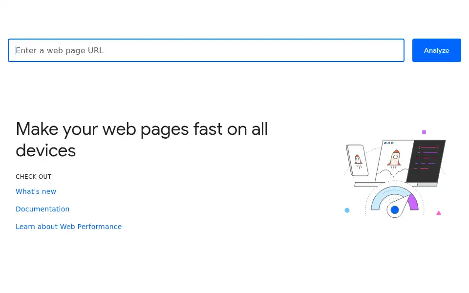 Screenshot of pagespeed.web.dev