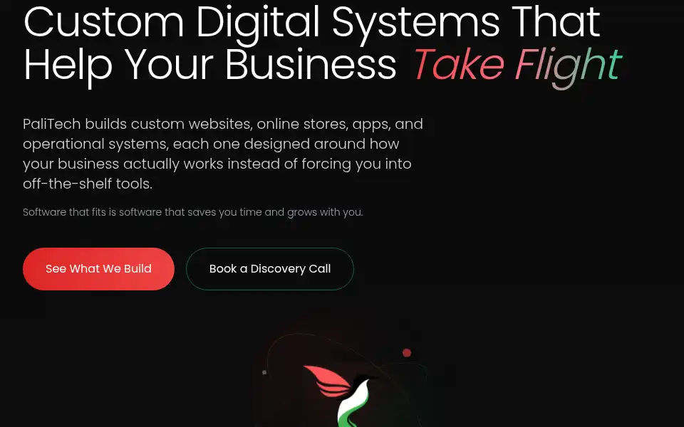 Screenshot of pali-tech.com