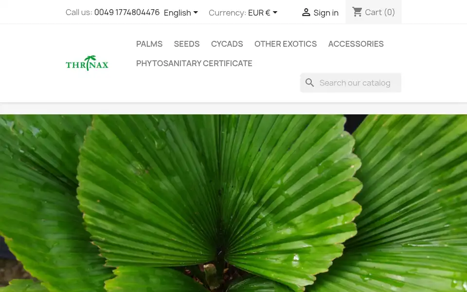 Screenshot of palms.de