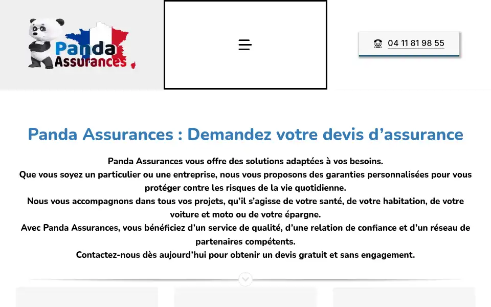 Screenshot of panda-assurances.fr