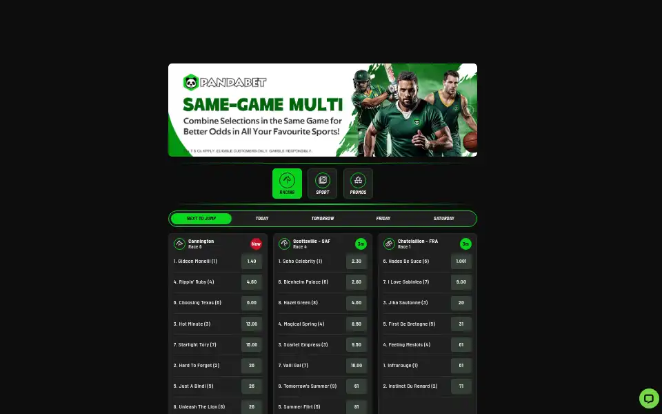 Screenshot of pandabet.com.au