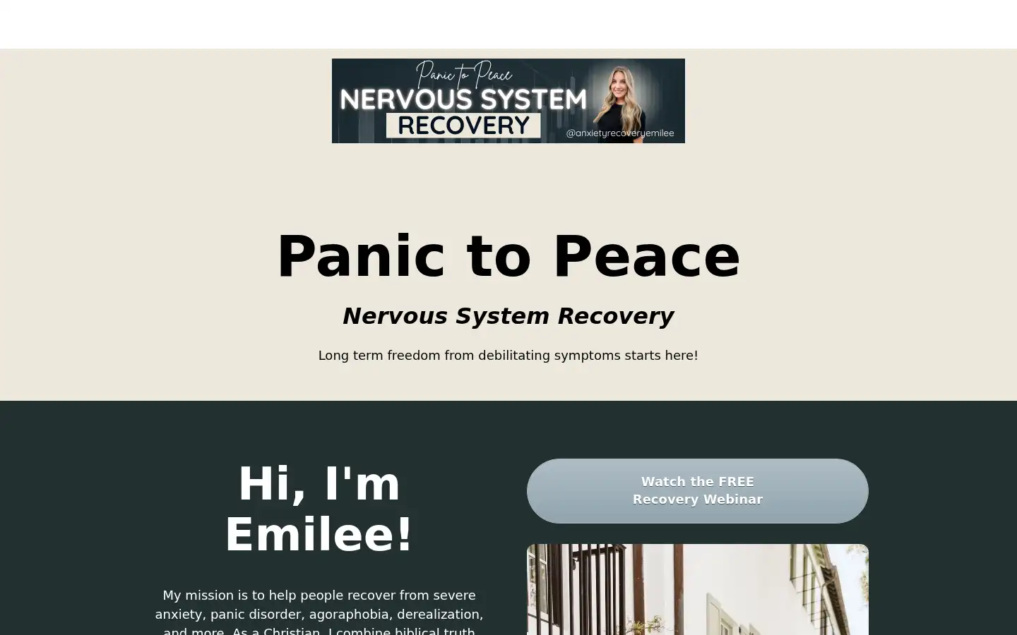 Screenshot of panictopeacecommunity.com