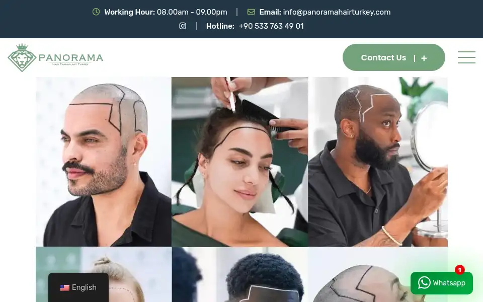 Screenshot of panoramahairturkey.com
