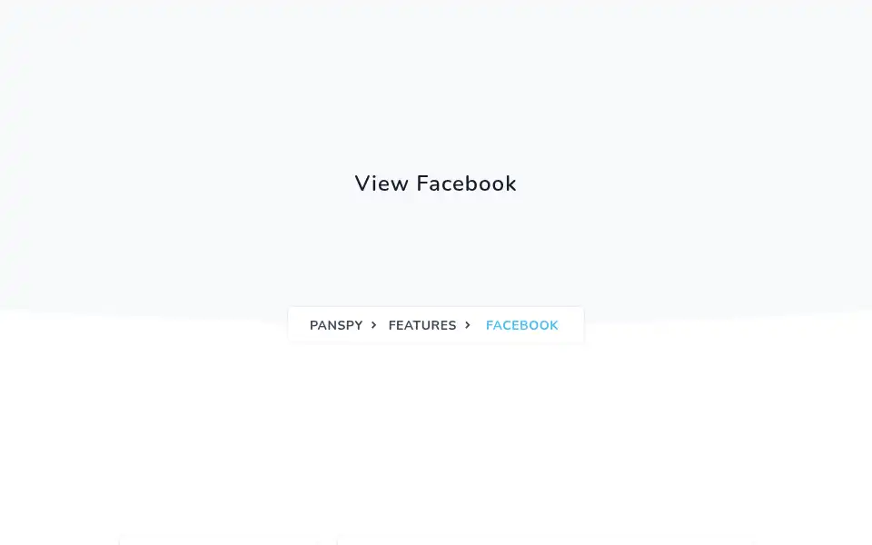 Screenshot of panspy.com