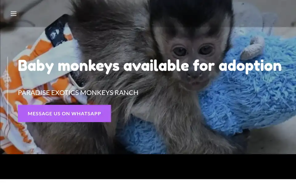 Screenshot of paradisemonkeysforsall.com