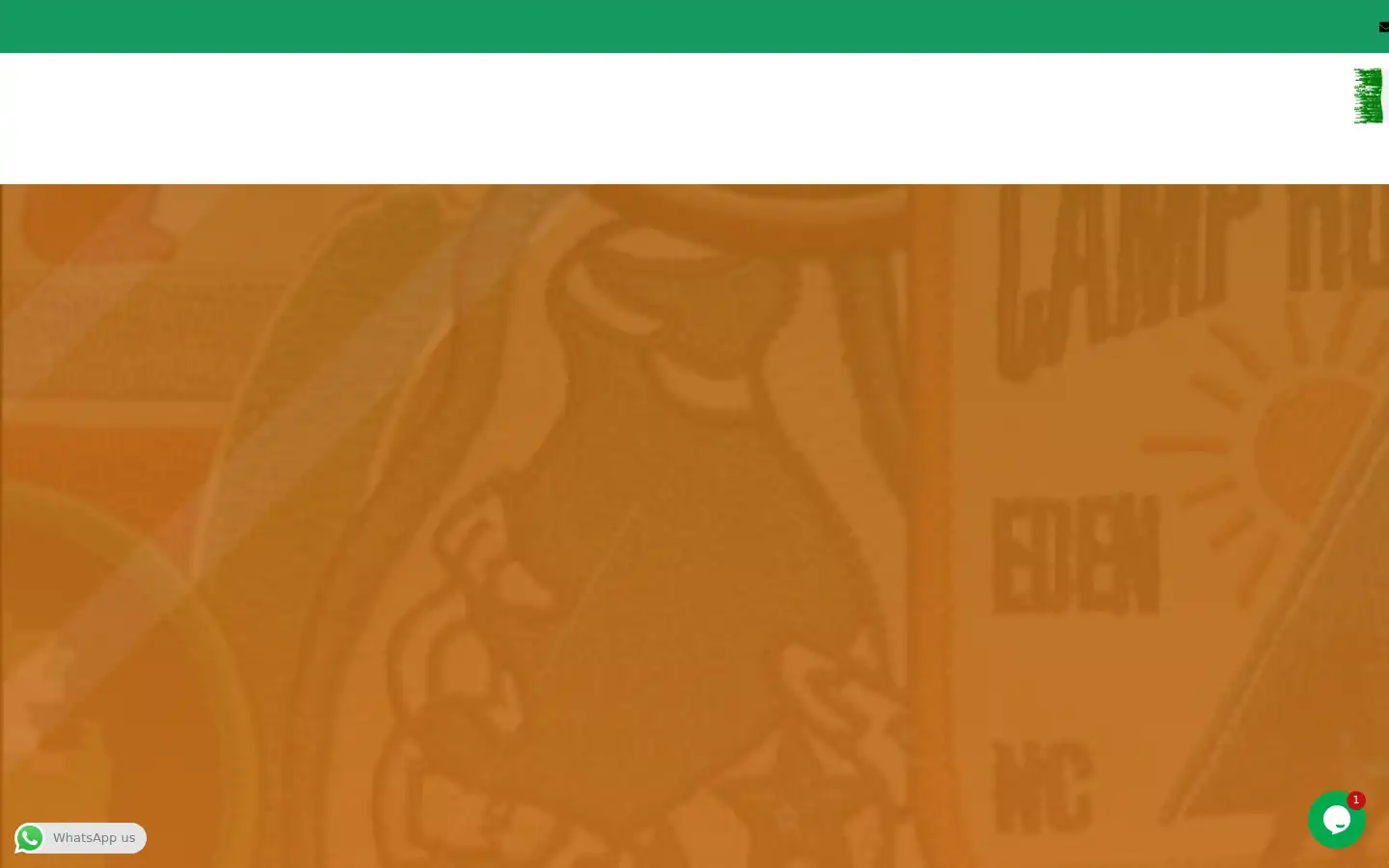 Screenshot of patchmakersireland.com
