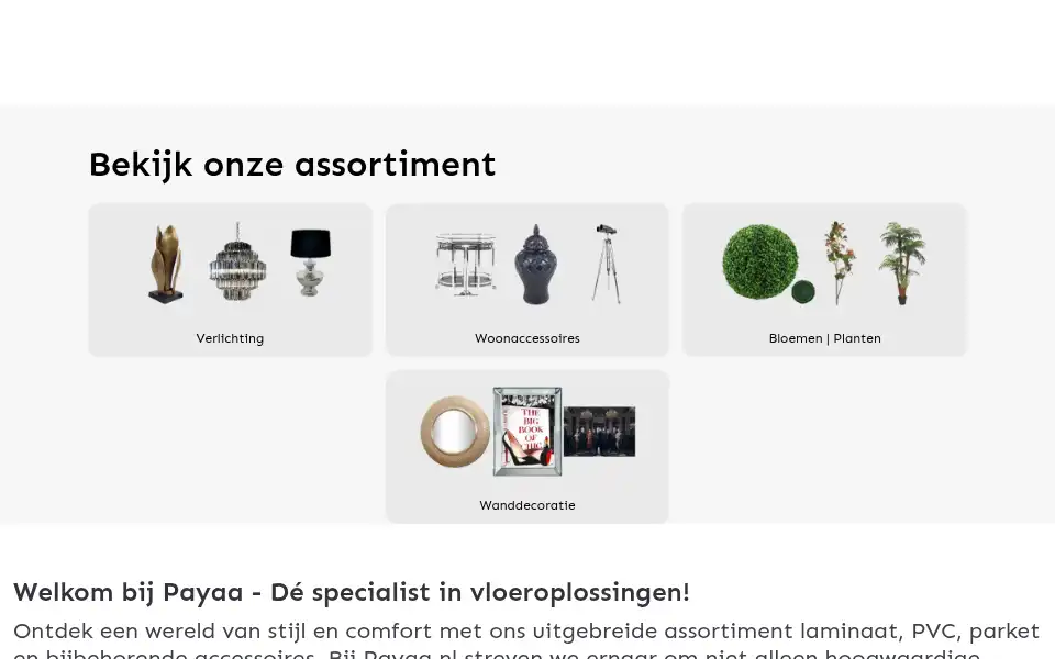 Screenshot of payaa.nl