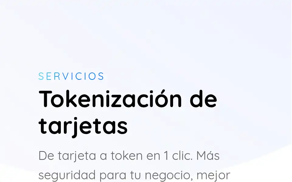 Screenshot of paycomet.com