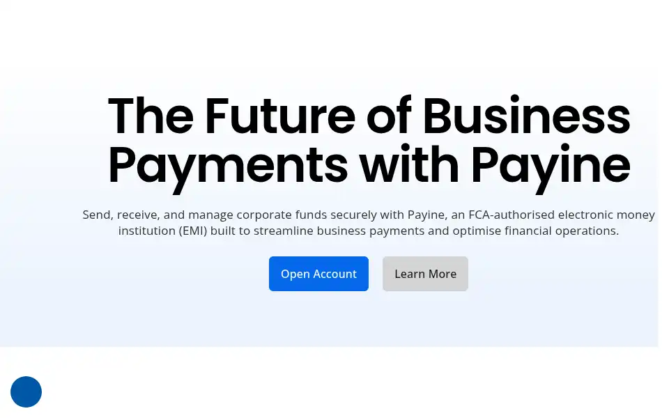 Screenshot of payine.com