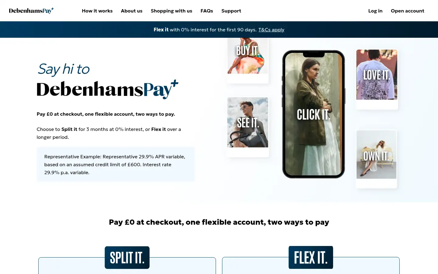 Screenshot of payplusit.com