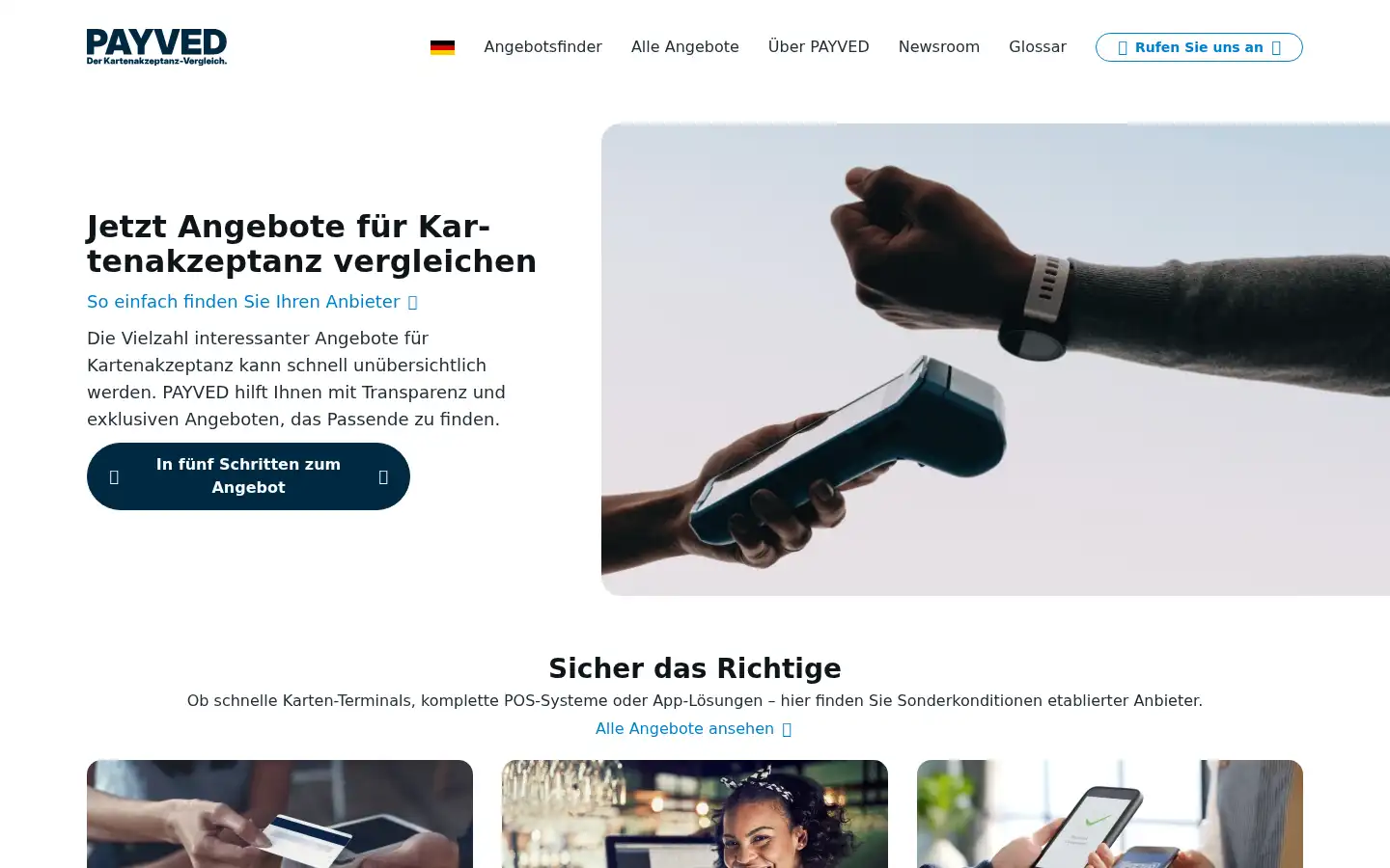 Screenshot of payved.de