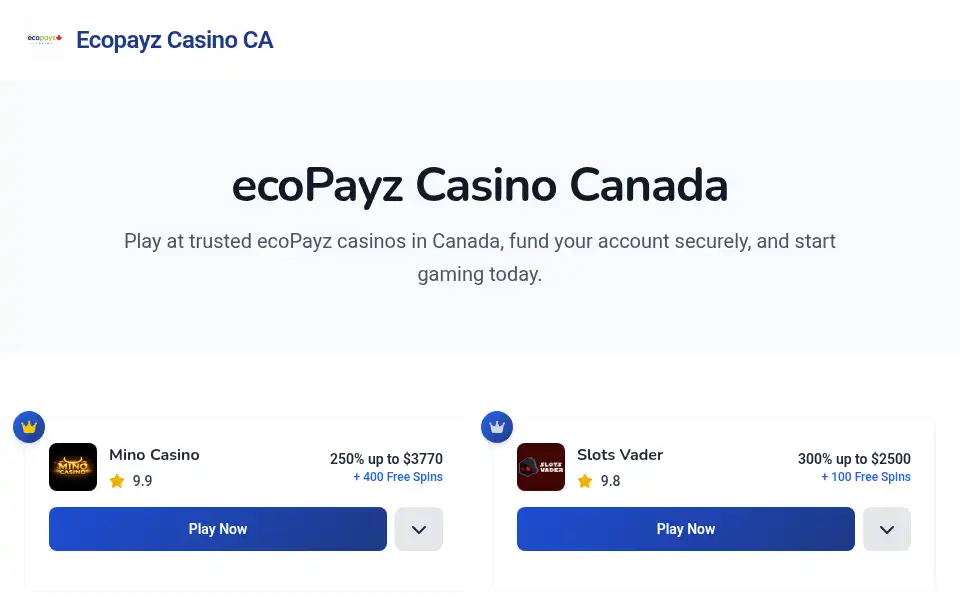 Screenshot of payzcasinoca.xyz