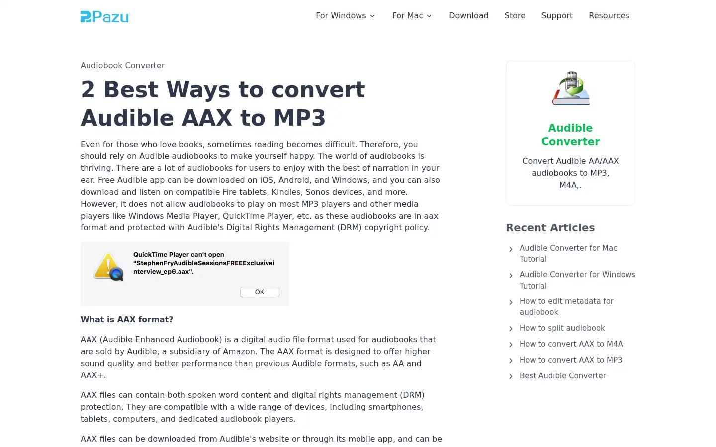 Screenshot of pazusoft.com
