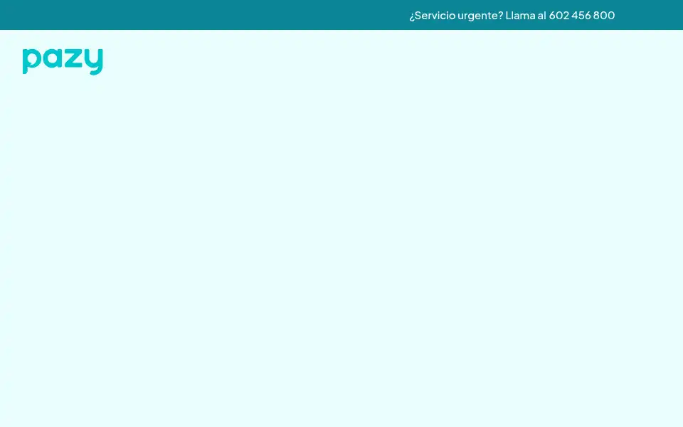 Screenshot of pazy.es