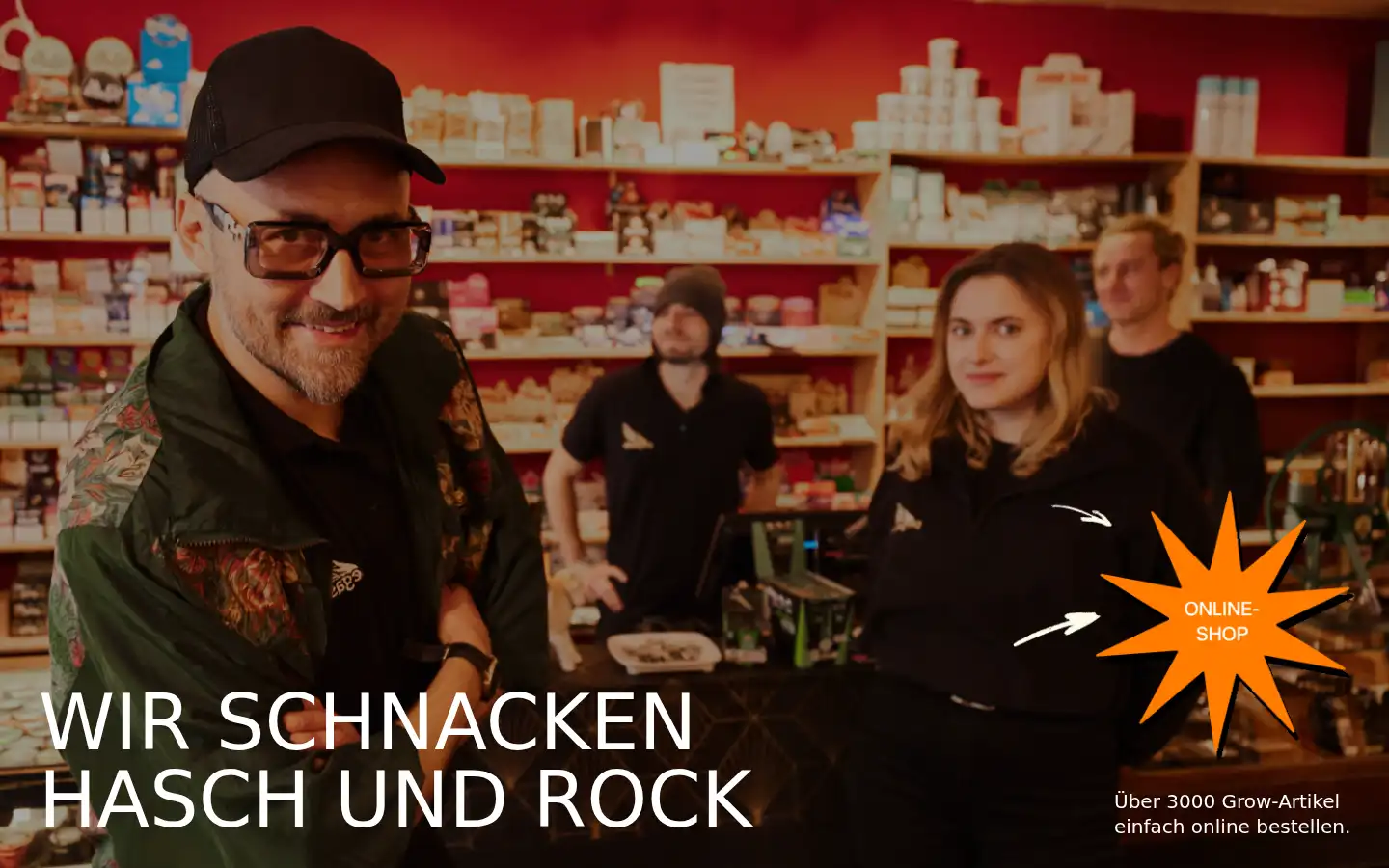 Screenshot of pegasus-headshop.de