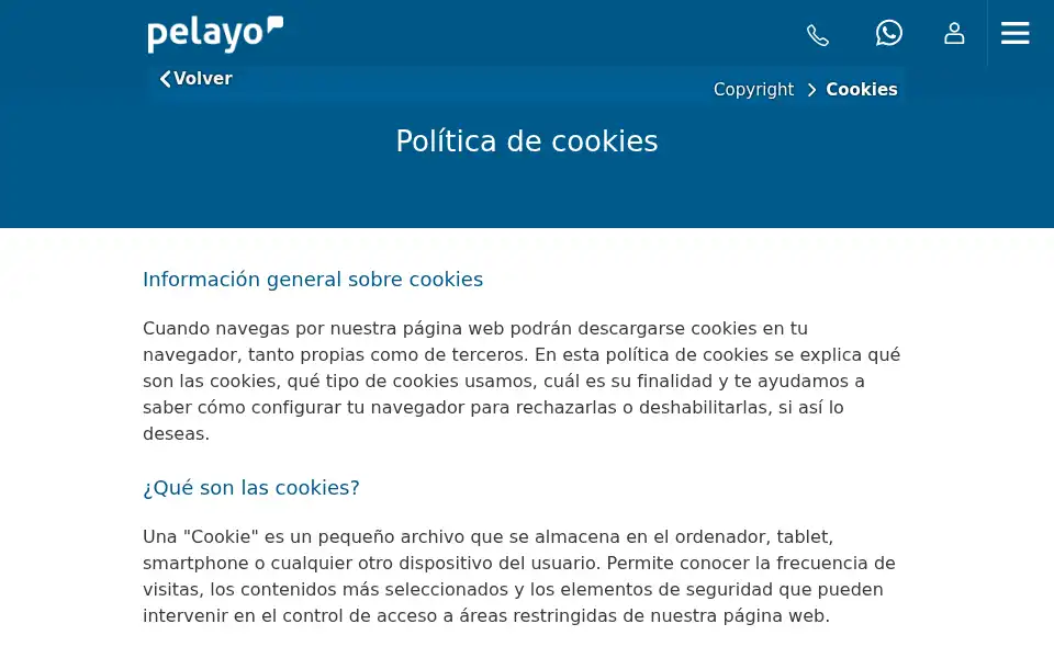 Screenshot of pelayo.com