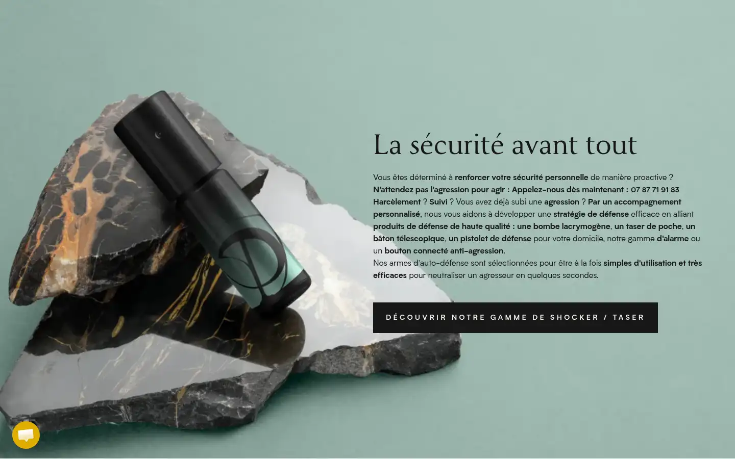 Screenshot of peltadefense.com
