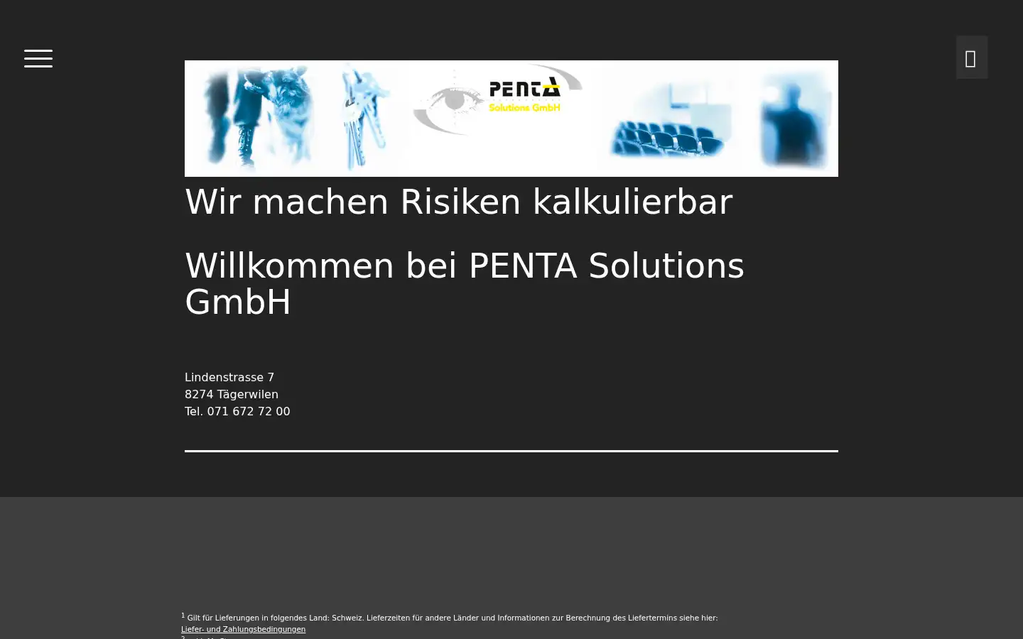 Screenshot of penta-solutions.ch