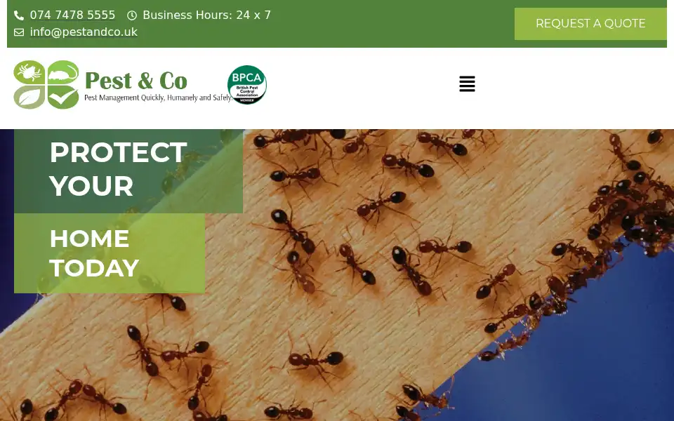 Screenshot of pestandco.uk