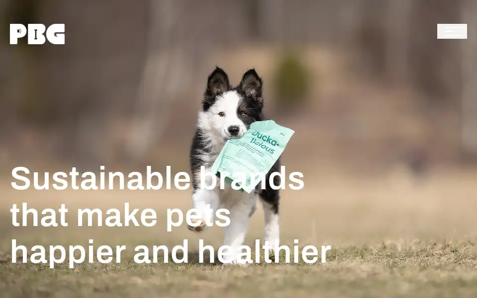 Screenshot of petbuddygroup.com