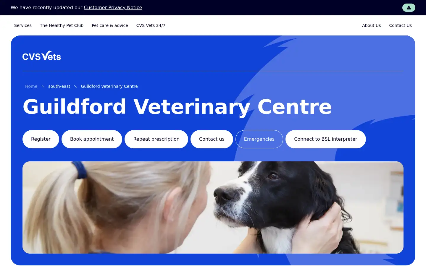 Screenshot of petdoctors.co.uk