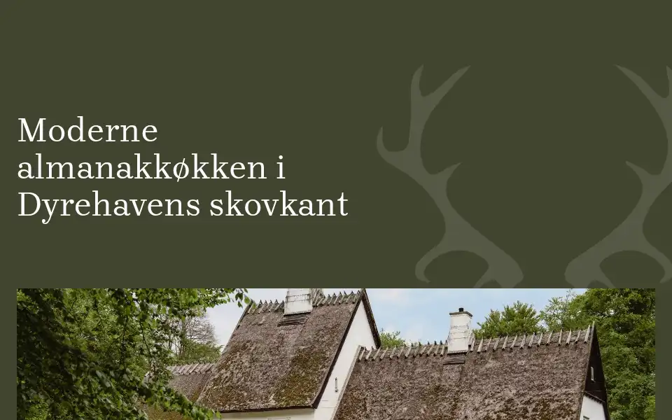 Screenshot of peterlieps.dk