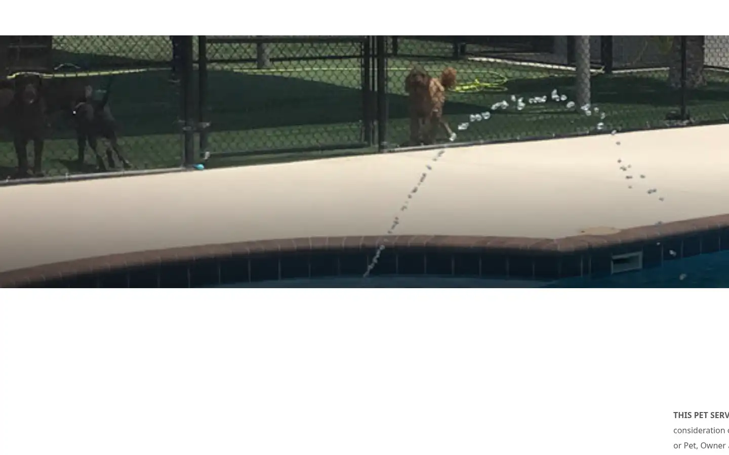 Screenshot of petparadise.com