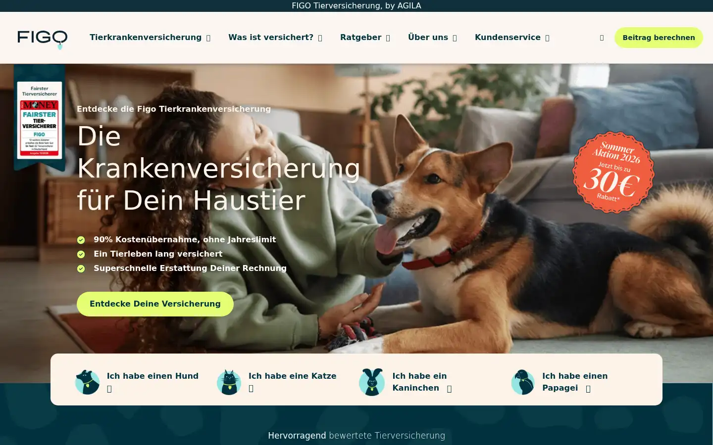 Screenshot of petplan.de