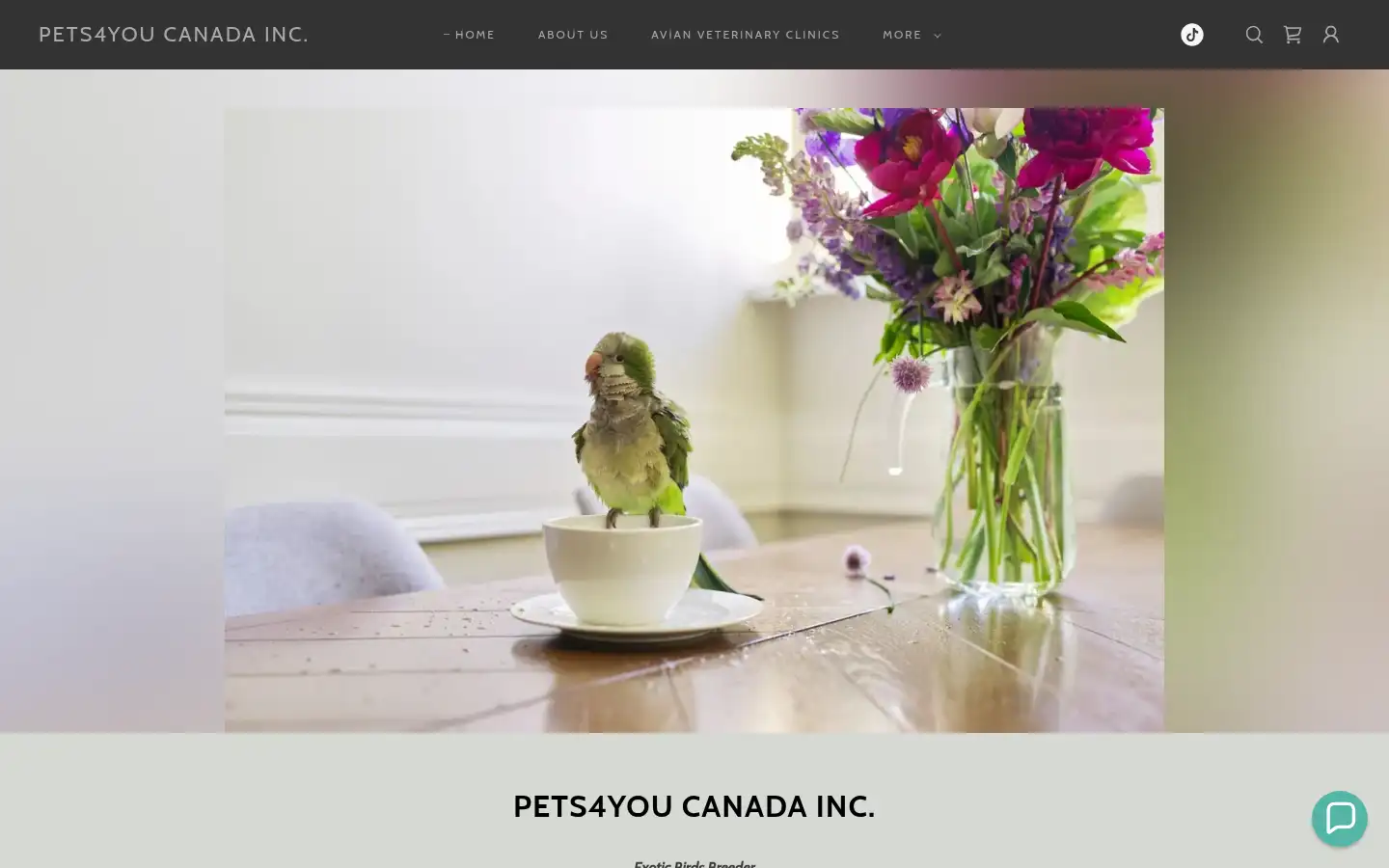 Screenshot of pets4youcanada.com