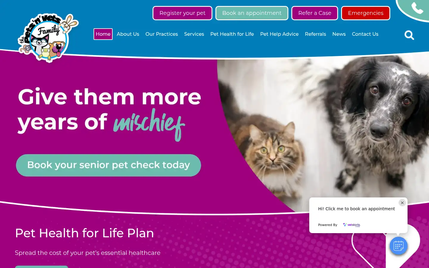 Screenshot of petsnvets.org