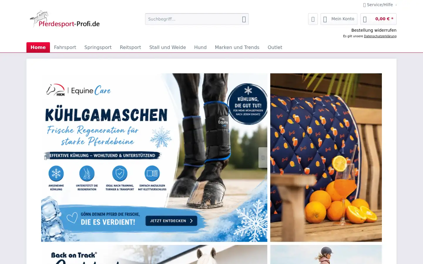 Screenshot of pferdesport-profi.de