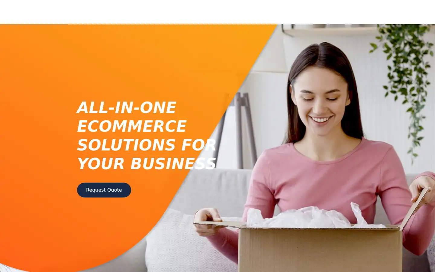 Screenshot of pflogistics.com.au