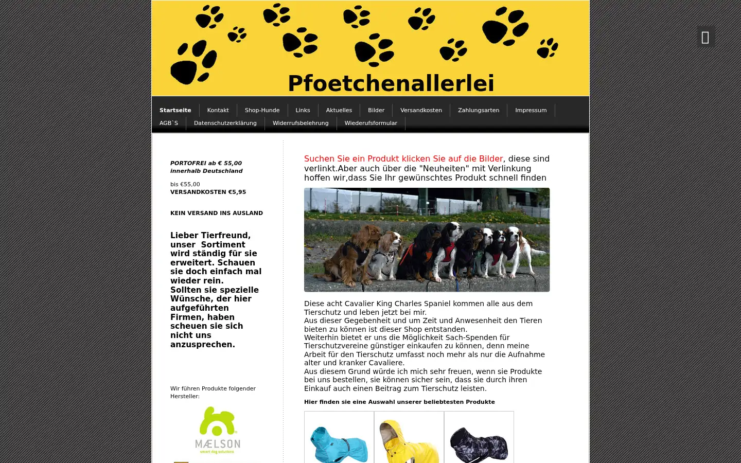 Screenshot of pfoetchenallerlei.de