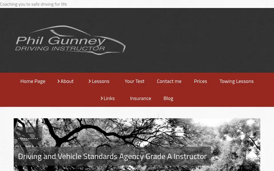 Screenshot of pgdrivinginstructor.co.uk